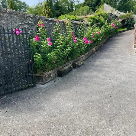 Nell & J S Апартаменты Кингскорт